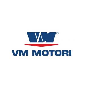 VM MOTORI